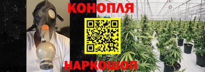 спиды Моздок