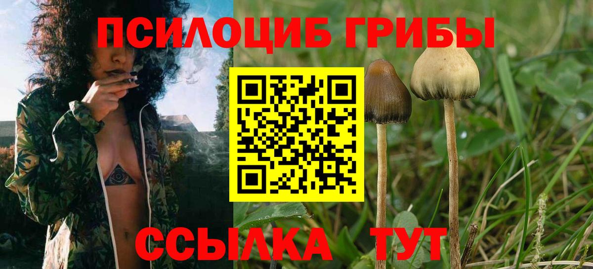 Галлюциногенные грибы Magic Shrooms Удомля