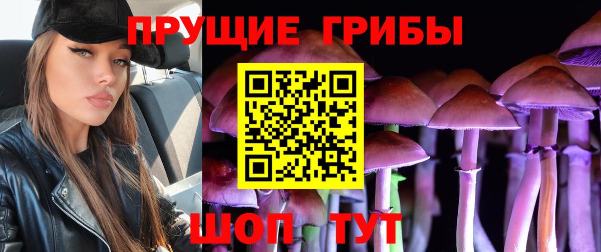 где купить наркоту  Вход с VPN  Удомля  Галлюциногенные грибы GOLDEN TEACHER 